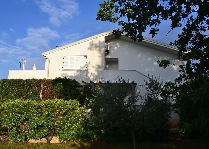 Ari I Segi * Karigador