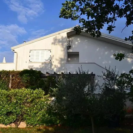 Ari I Segi * Karigador